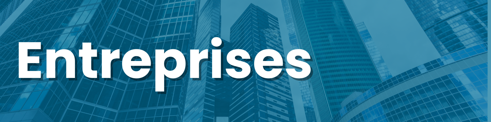 Entreprises page entreprises